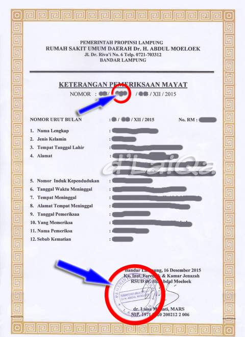 Detail Contoh Surat Kematian Dari Rumah Sakit Nomer 33