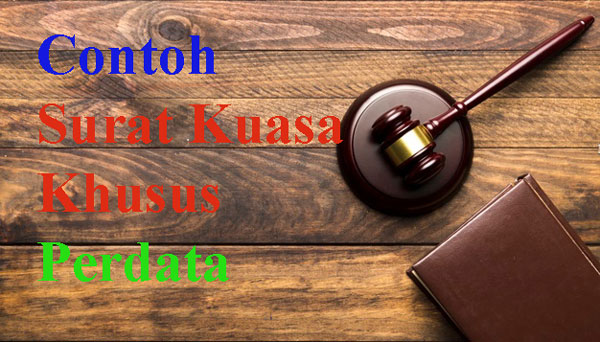 Detail Contoh Surat Kuasa Hukum Pidana Nomer 48