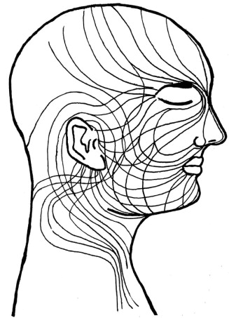 Detail Dermatome Kopf Nomer 11