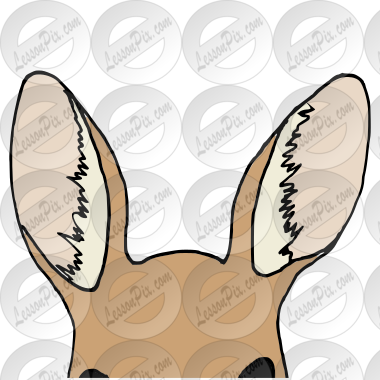 Detail Kangaroo Rhymes Nomer 22