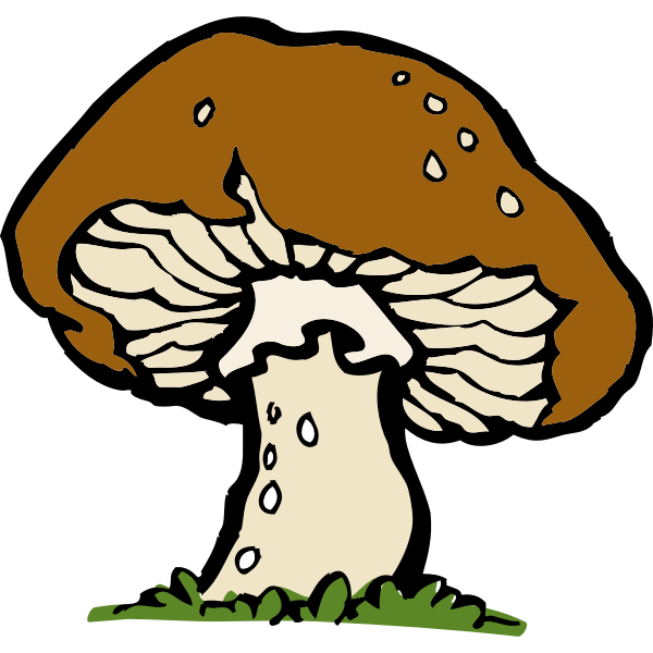 Detail Mushroom Vector Png Nomer 24