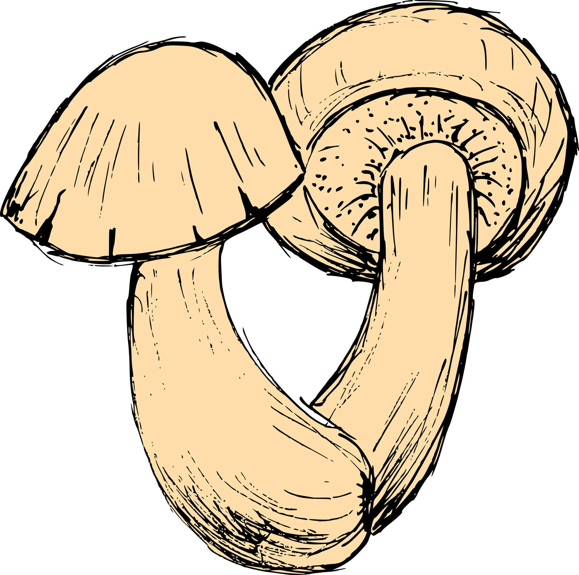 Detail Mushroom Vector Png Nomer 3