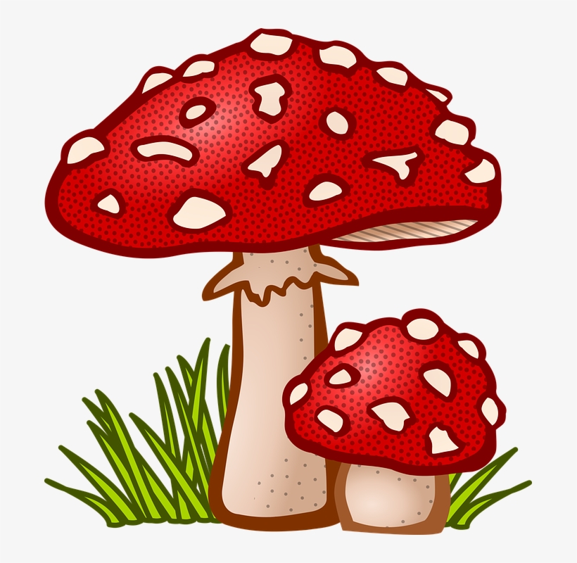 Detail Mushroom Vector Png Nomer 6
