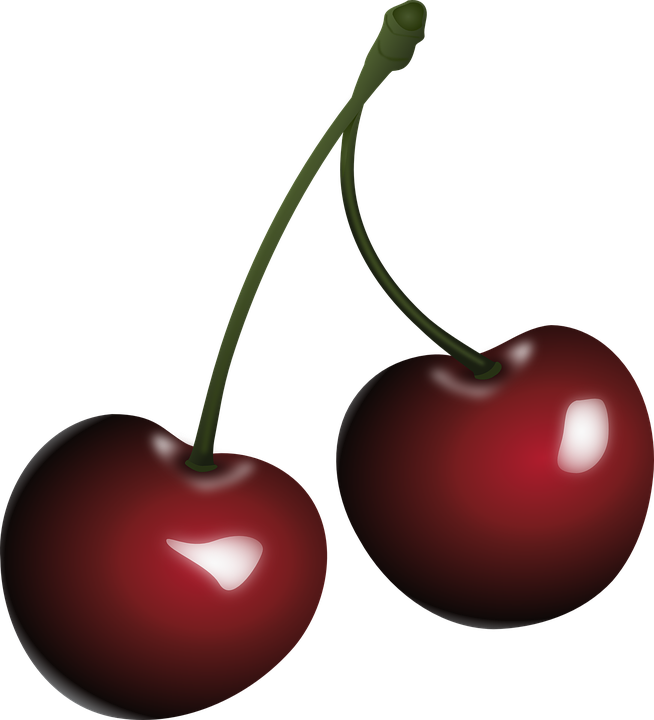 Detail Rote Frucht Nomer 20