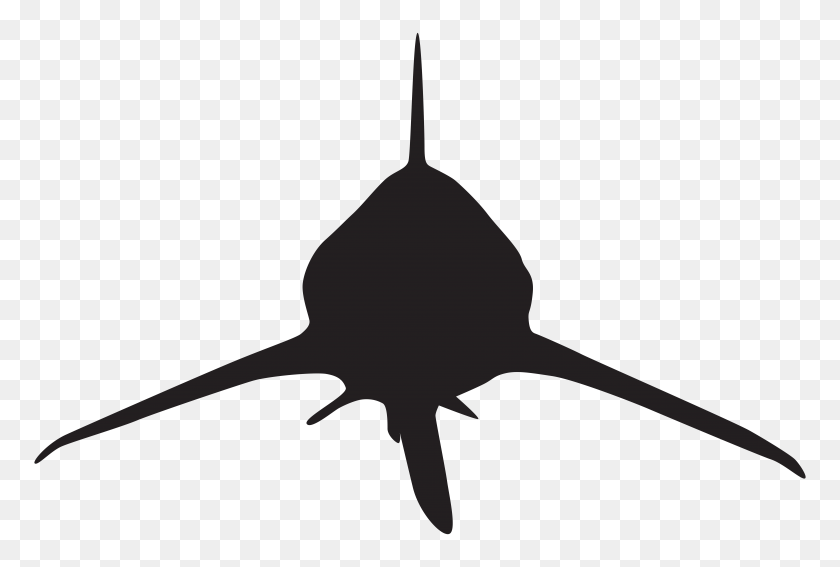 Detail Snoopy Shark Nomer 17