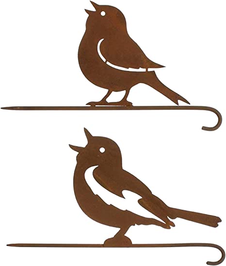 Detail Spatz Haustier Nomer 2