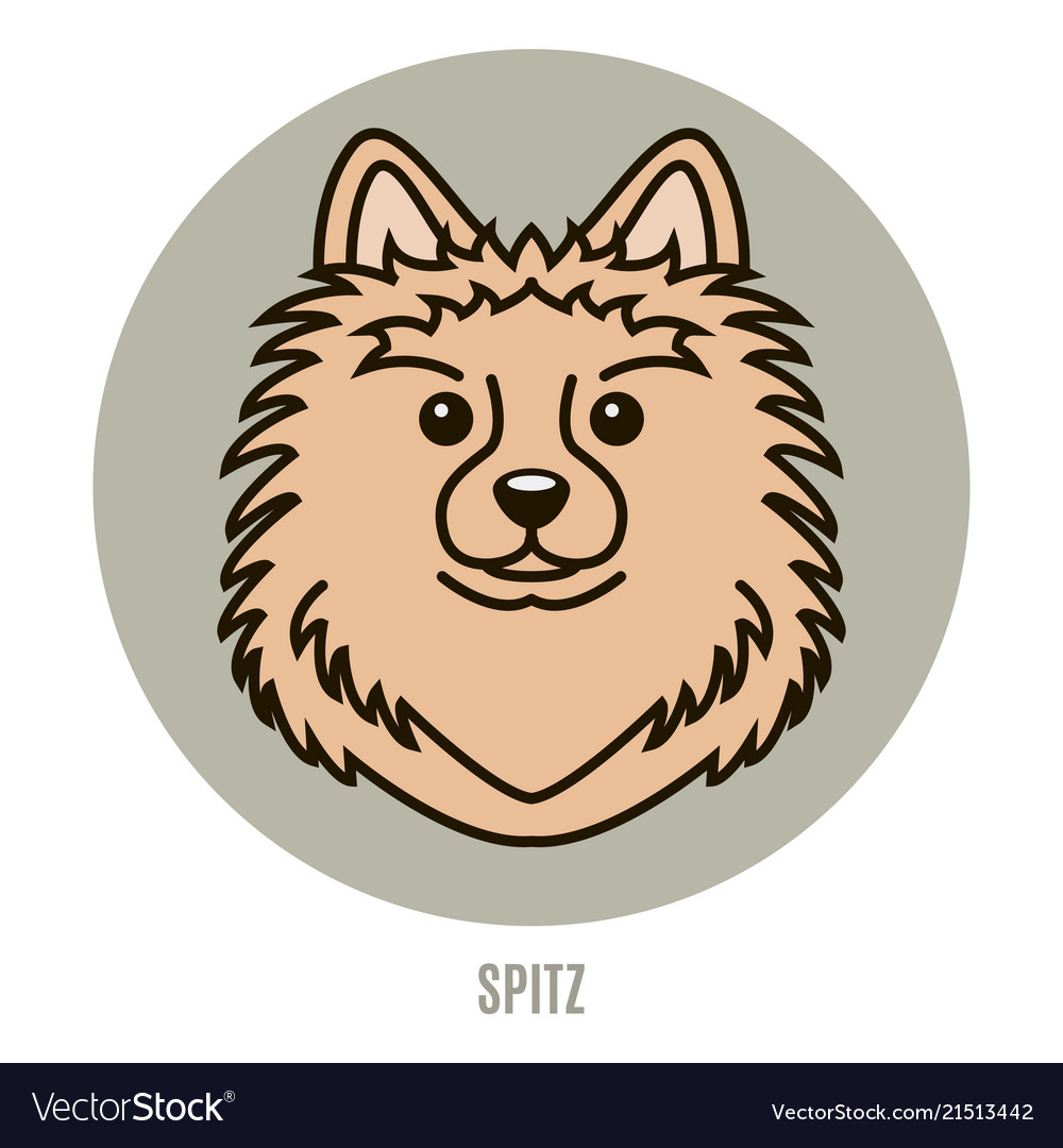 Detail Spitz Bilder Nomer 2