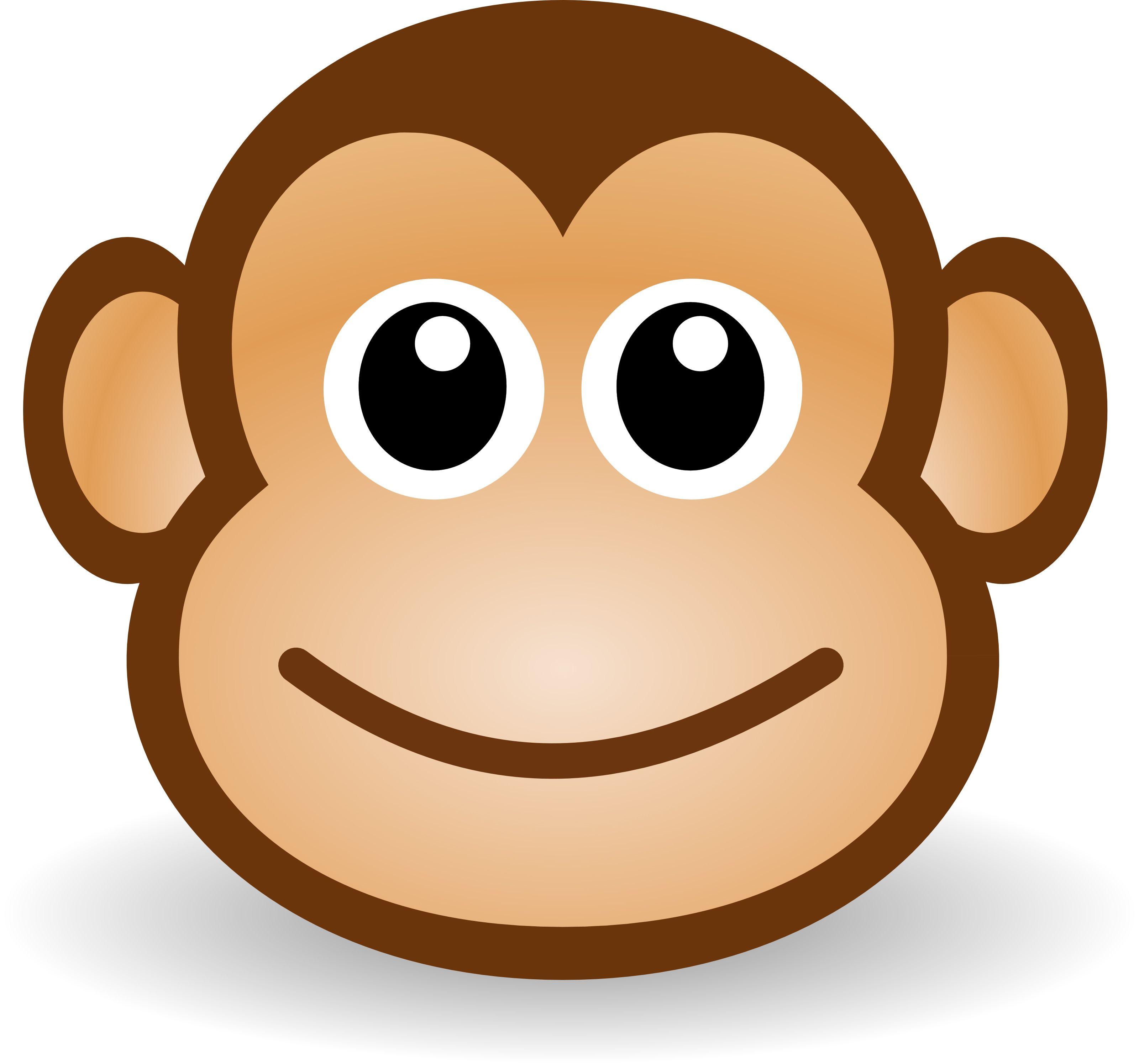 Detail Wallpaper Affe Nomer 2