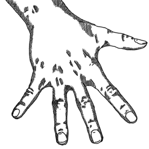 Detail Zeigefinger Malen Nomer 5