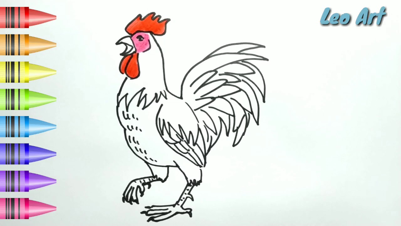 Detail Gambar Mewarnai Ayam Jago Nomer 11