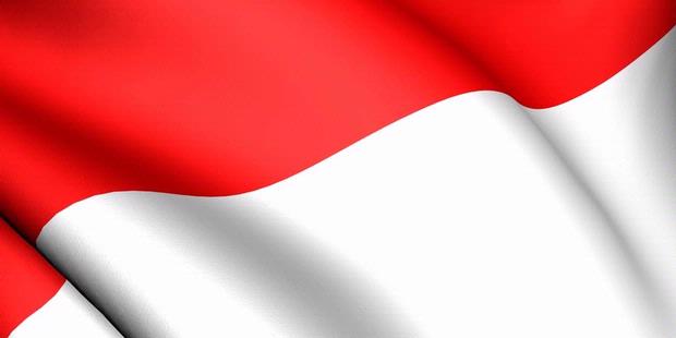 Detail Gambar Mewarnai Bendera Indonesia Orang Nomer 53