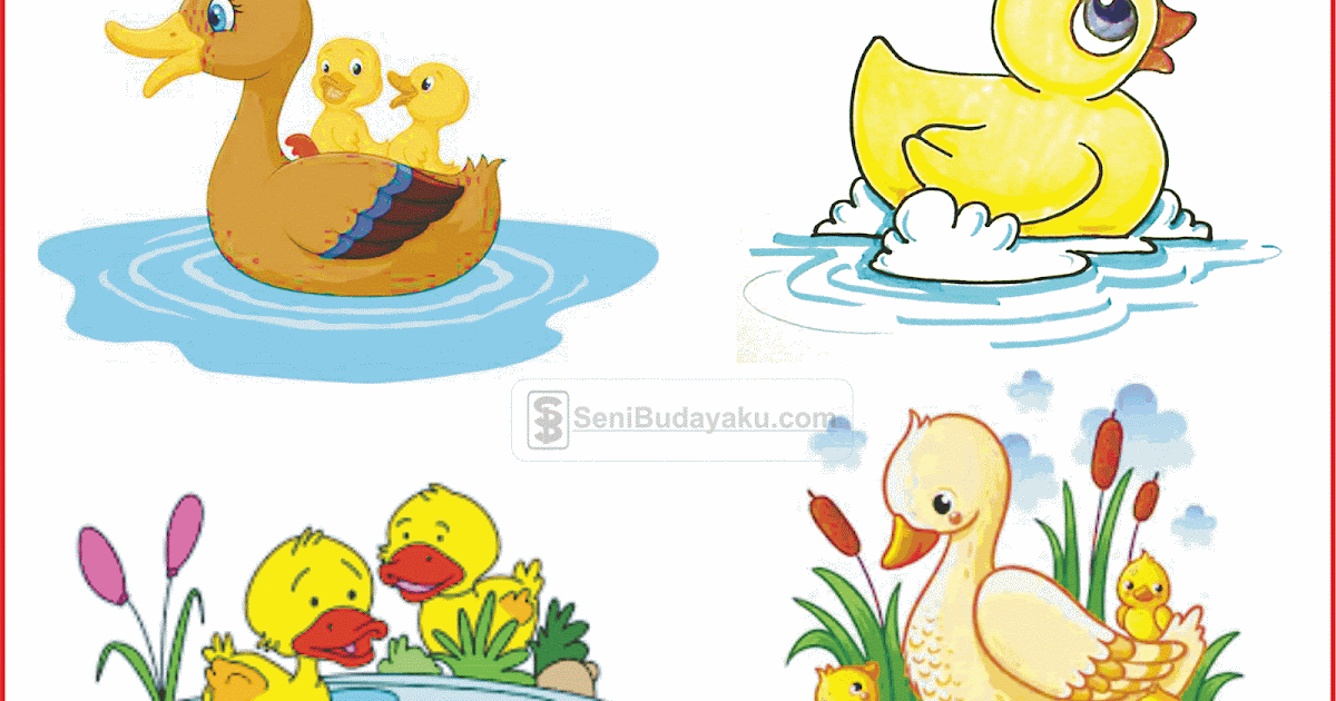 Detail Gambar Mewarnai Berenang Gambar Mewarnai Sedang Berenang Nomer 28