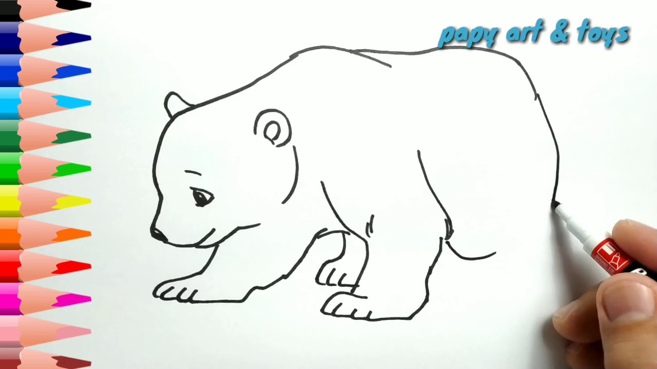 Detail Gambar Mewarnai Beruang Nomer 17