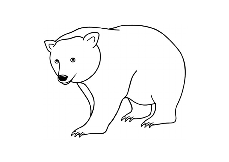 Detail Gambar Mewarnai Beruang Nomer 39