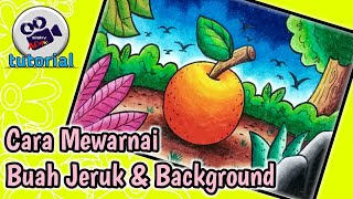 Detail Gambar Mewarnai Buah Jeruk Nomer 25