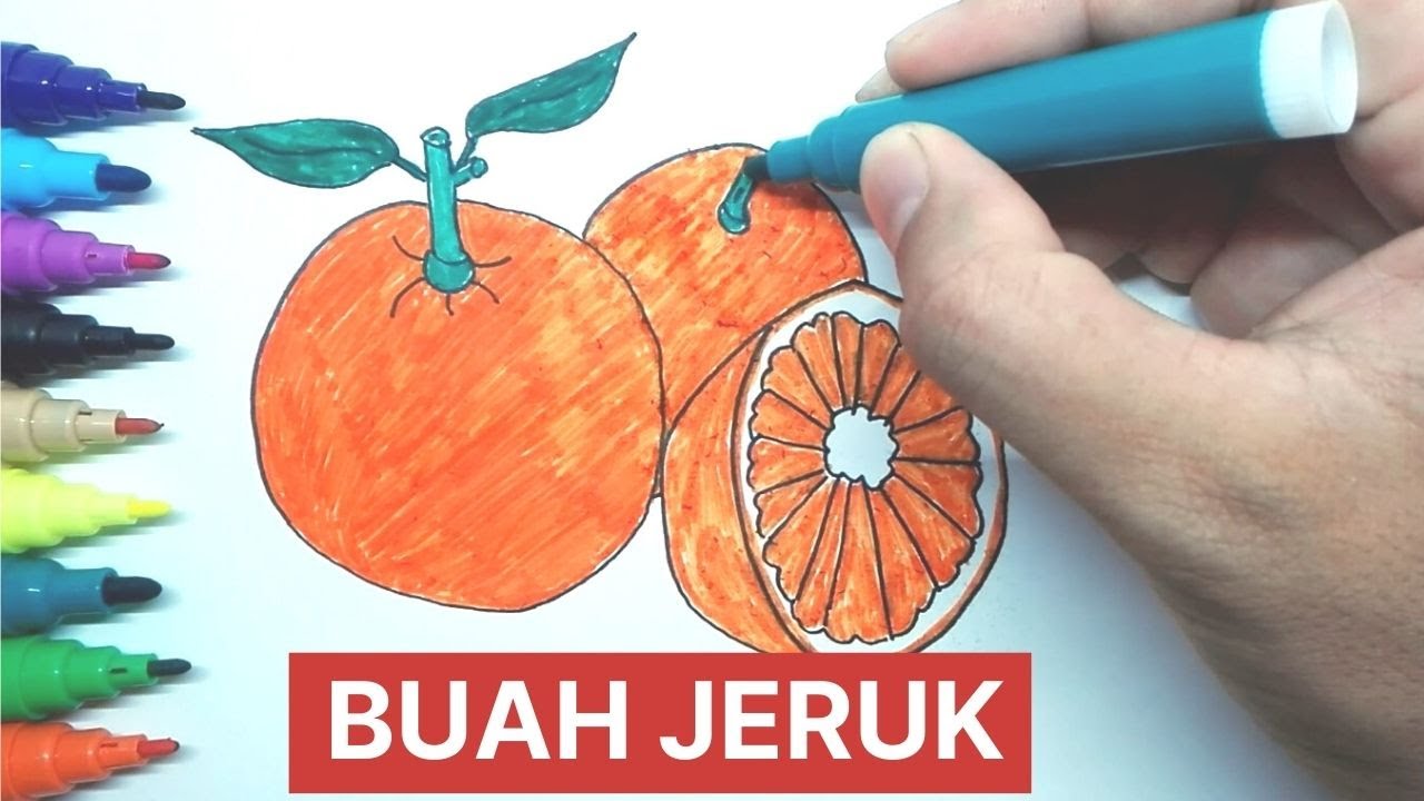 Detail Gambar Mewarnai Buah Jeruk Nomer 40