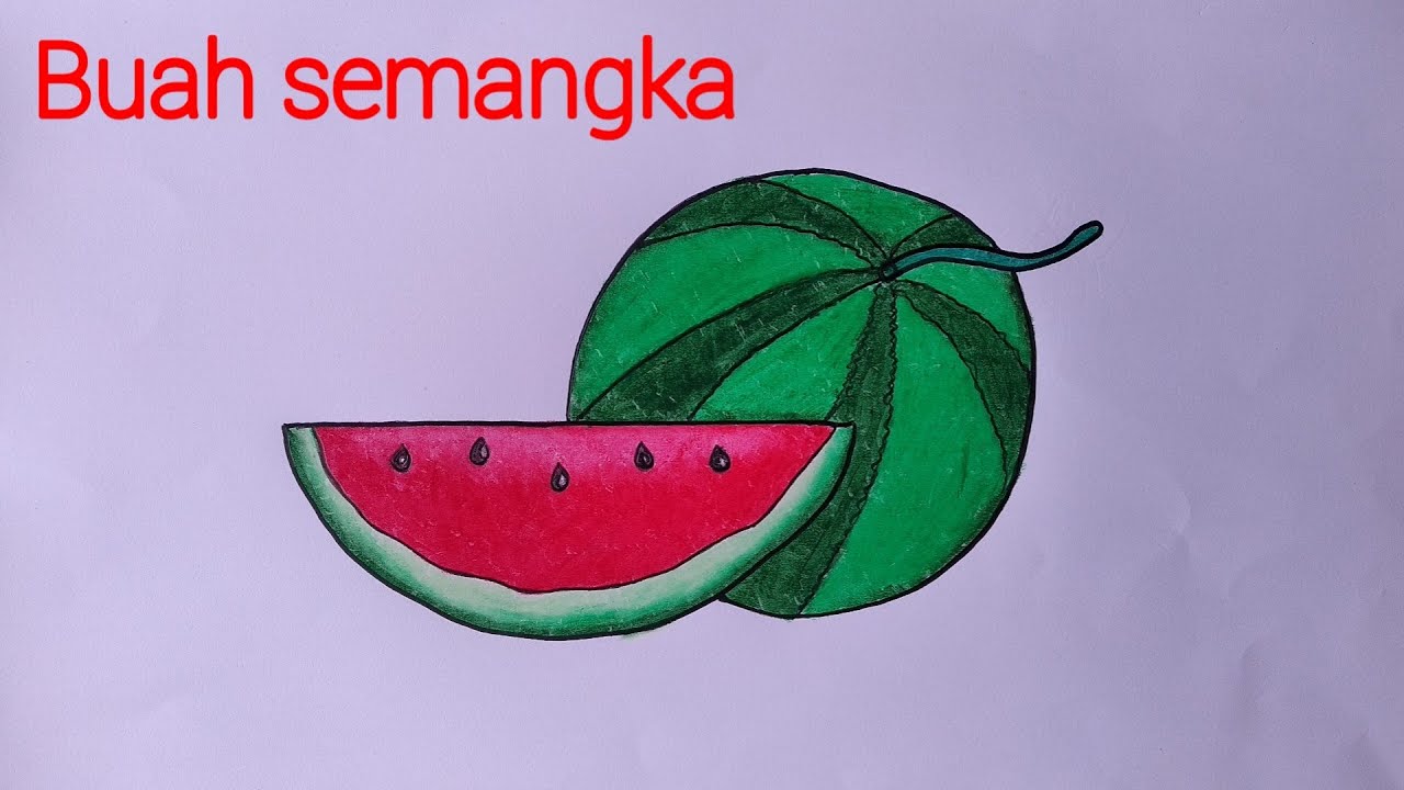 Detail Gambar Mewarnai Buah Semangka Nomer 21