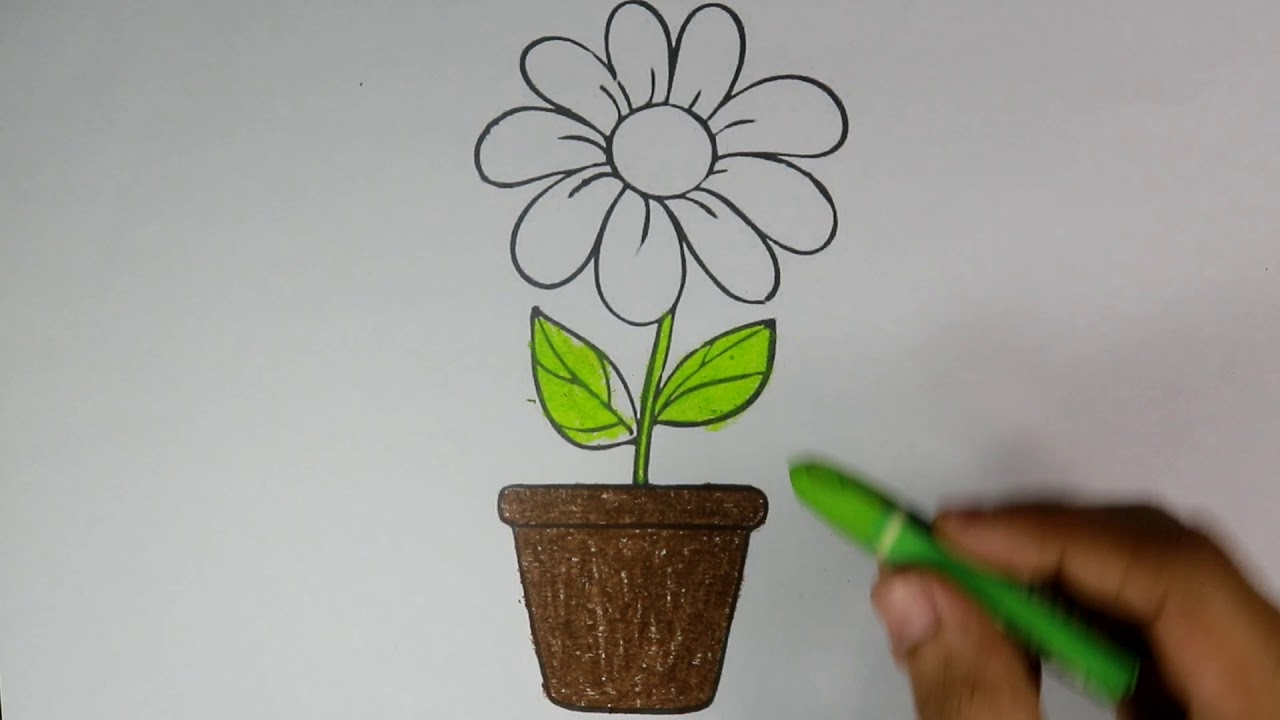 Detail Gambar Mewarnai Bunga Dan Pot Nomer 51