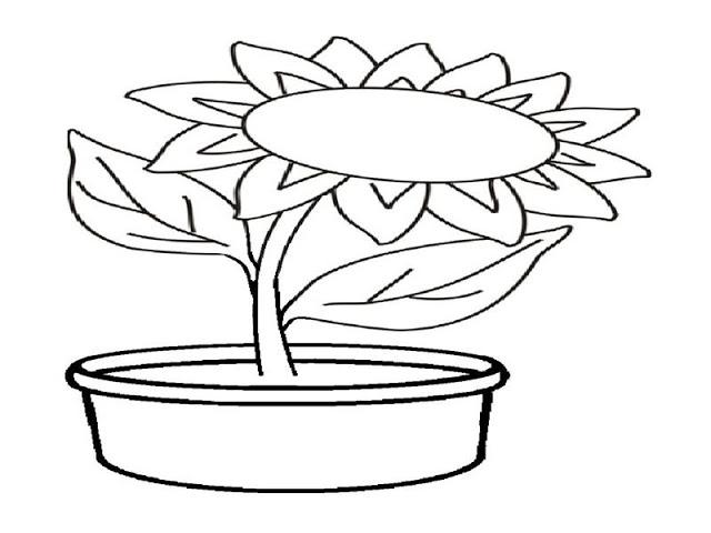 Detail Gambar Mewarnai Bunga Di Pot Nomer 24