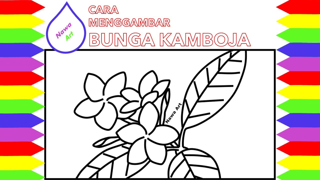 Detail Gambar Mewarnai Bunga Kamboja Nomer 14