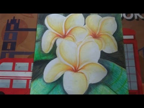 Detail Gambar Mewarnai Bunga Kamboja Nomer 18