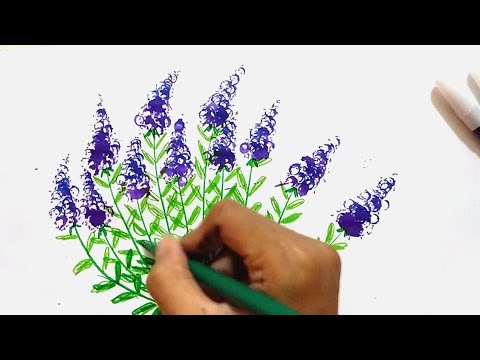 Gambar Mewarnai Bunga Lavender - KibrisPDR