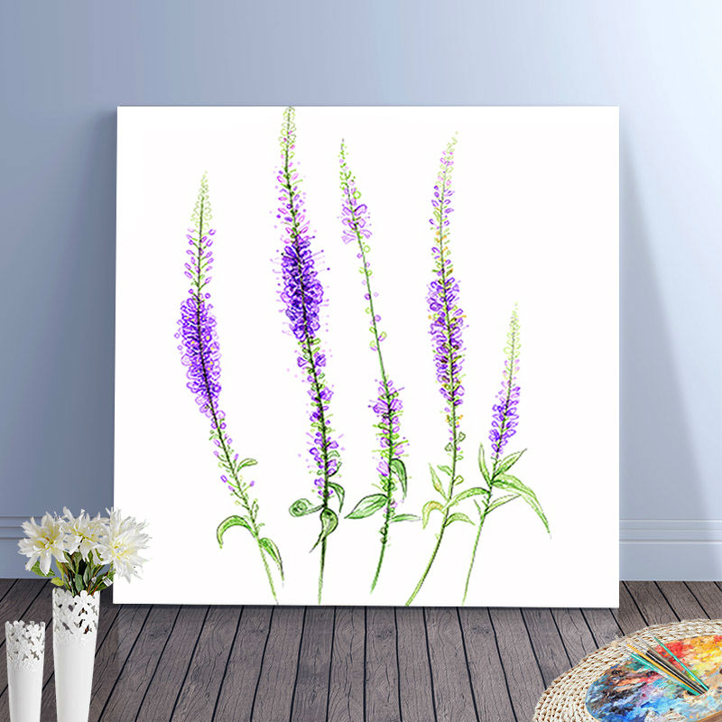 Detail Gambar Mewarnai Bunga Lavender Nomer 32