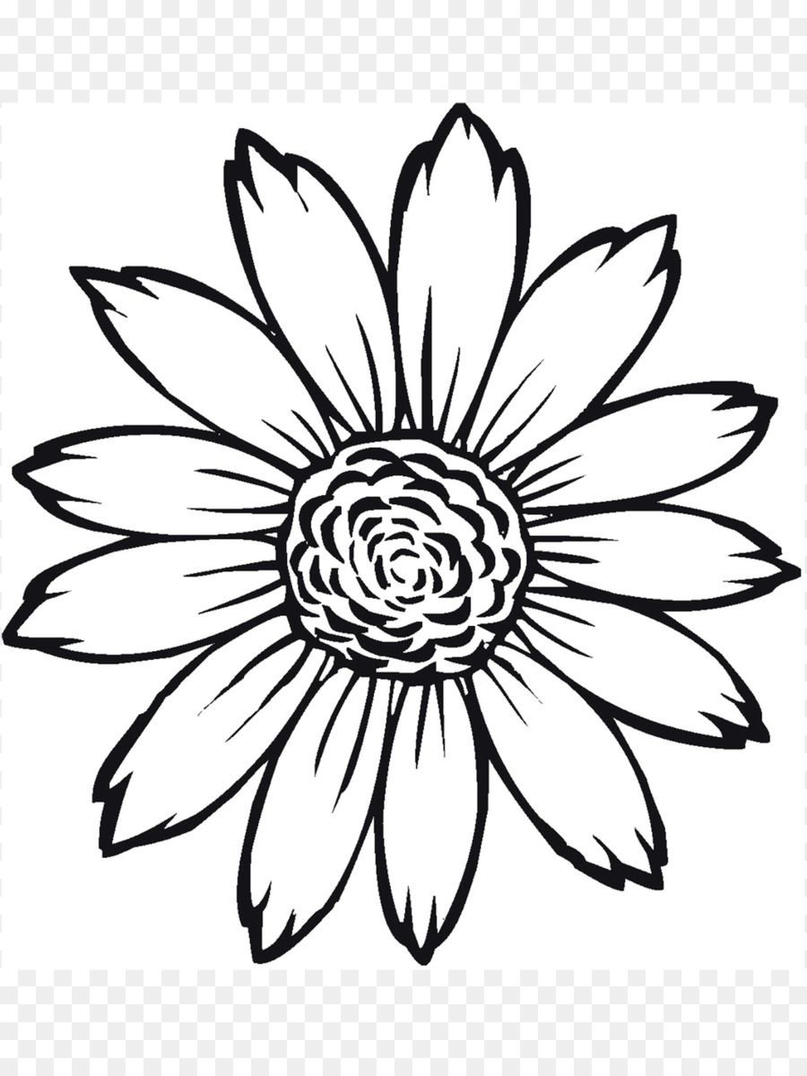 Detail Gambar Mewarnai Bunga Matahari Nomer 41