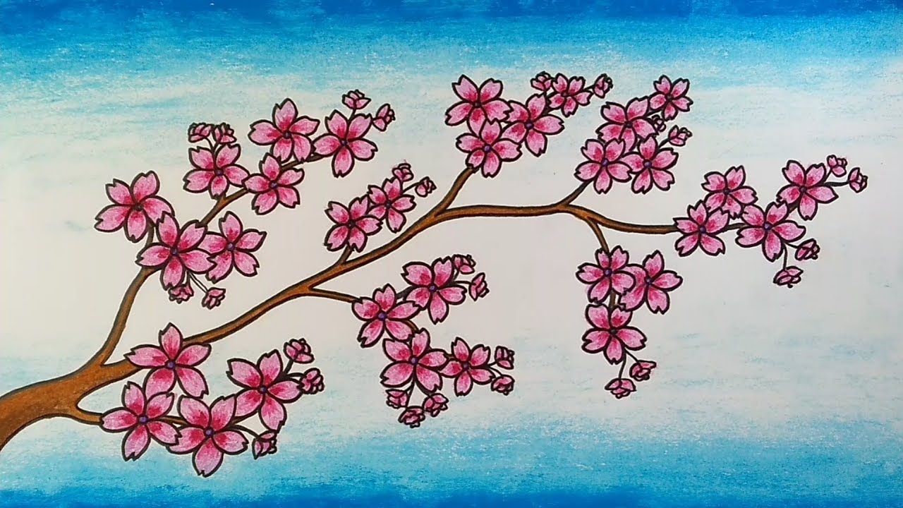 Detail Gambar Mewarnai Bunga Sakura Nomer 13