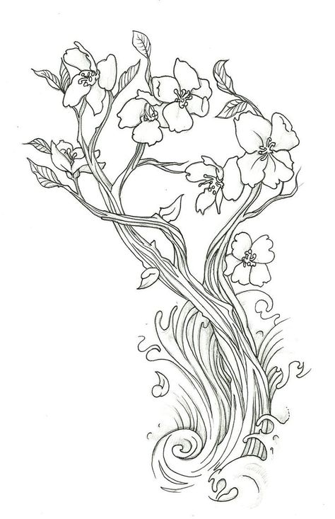 Detail Gambar Mewarnai Bunga Sakura Nomer 25