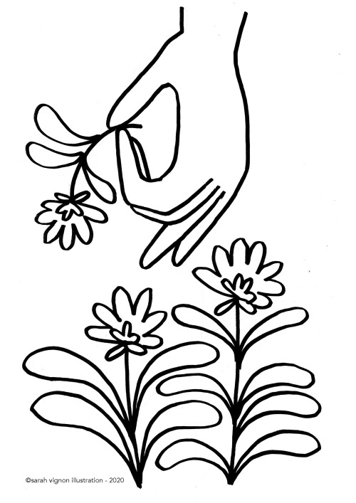 Detail Gambar Mewarnai Bunga Sedap Malam Nomer 36