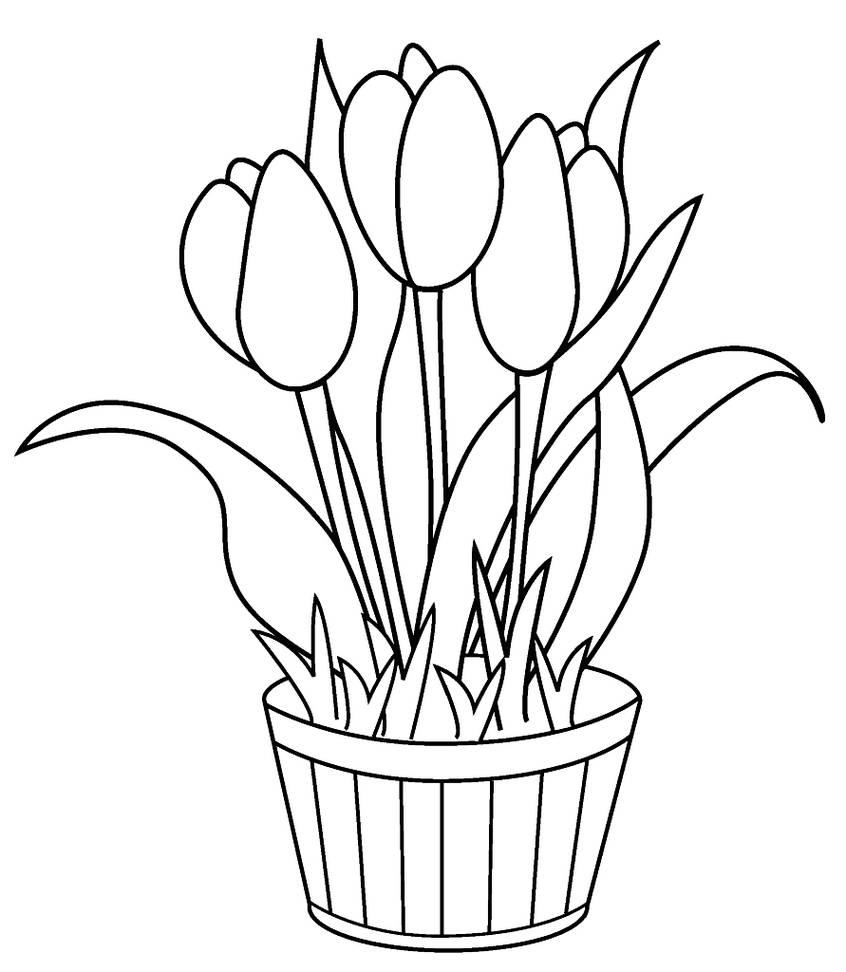 Detail Gambar Mewarnai Bunga Tulip Nomer 9