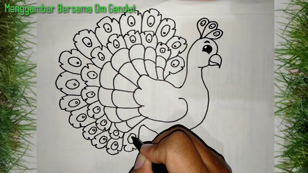 Detail Gambar Mewarnai Burung Merak Koleksi Nomer 22