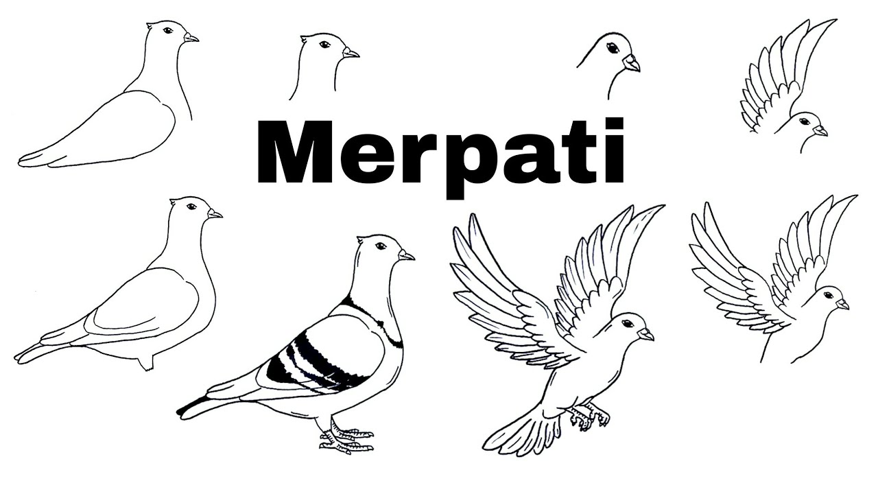 Detail Gambar Mewarnai Burung Merpati Nomer 12