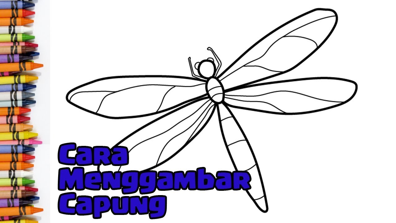 Detail Gambar Mewarnai Capung Nomer 6