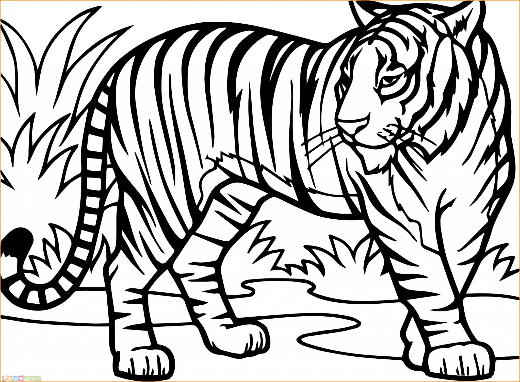 Detail Gambar Mewarnai Harimau Nomer 11