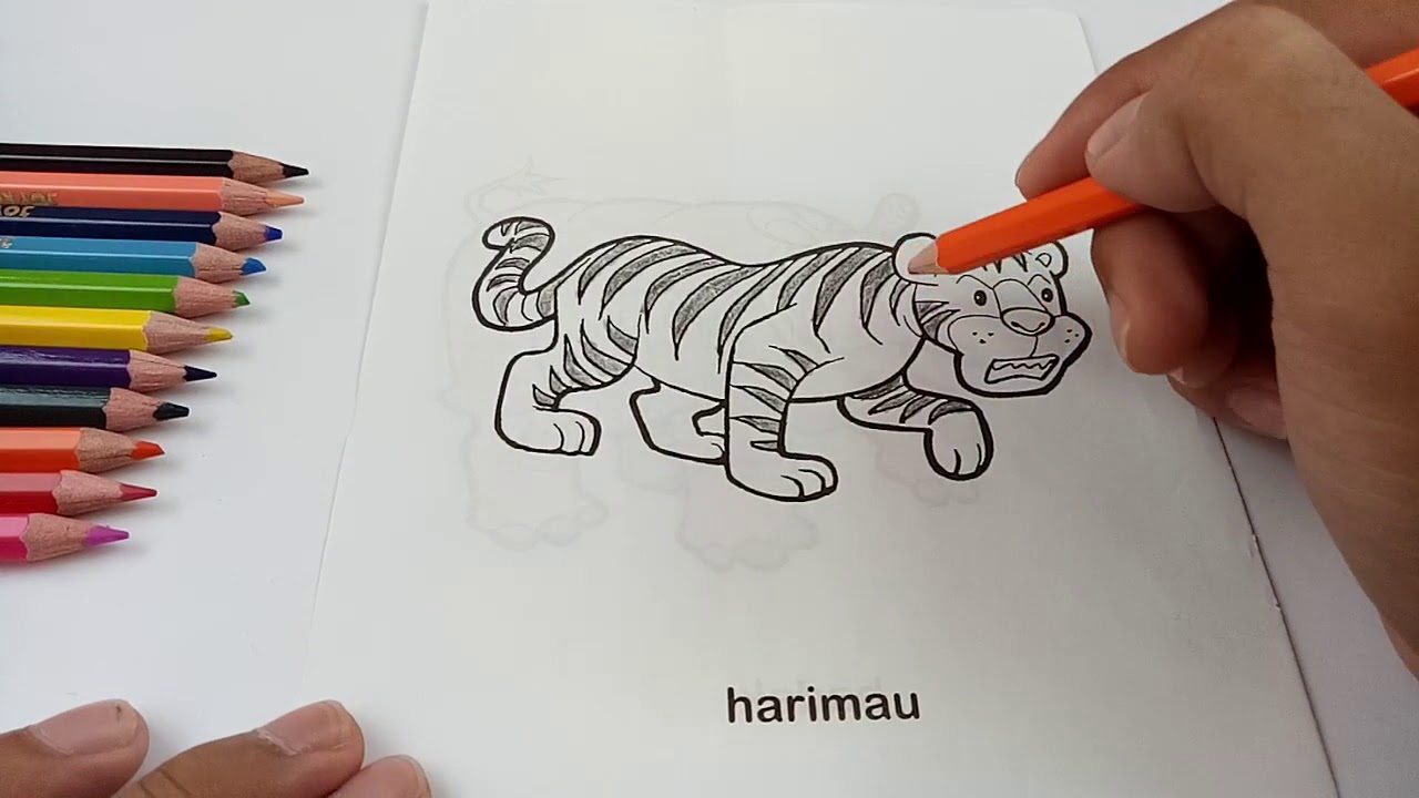 Detail Gambar Mewarnai Harimau Nomer 55