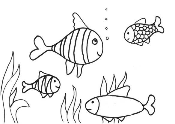 Detail Gambar Mewarnai Hewan Ikan Nomer 10