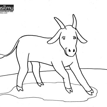 Detail Gambar Mewarnai Hewan Kambing Nomer 24