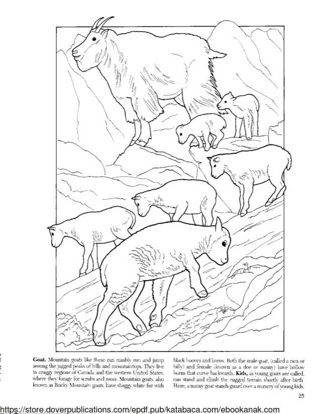 Detail Gambar Mewarnai Hewan Kambing Nomer 31