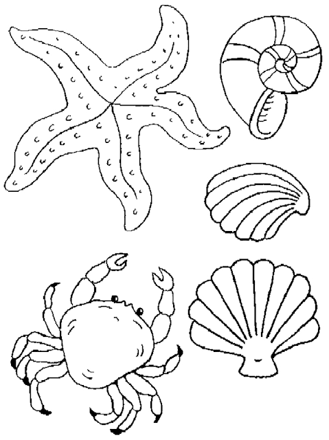 Detail Gambar Mewarnai Hewan Laut Kartun Nomer 31