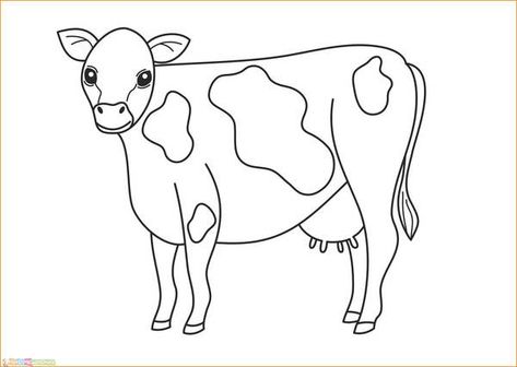 Detail Gambar Mewarnai Hewan Sapi Nomer 12