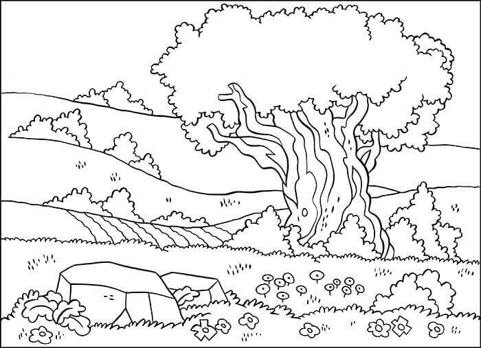 Detail Gambar Mewarnai Hutan Nomer 17