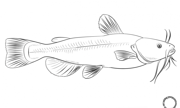 Detail Gambar Mewarnai Ikan Nomer 56