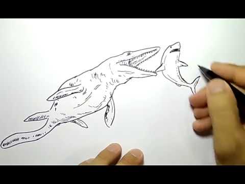 Detail Gambar Mewarnai Ikan Gambar Mewarnai Dinosaurus Nomer 10
