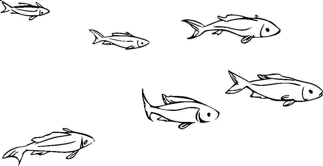 Detail Gambar Mewarnai Ikan Hias Nomer 49