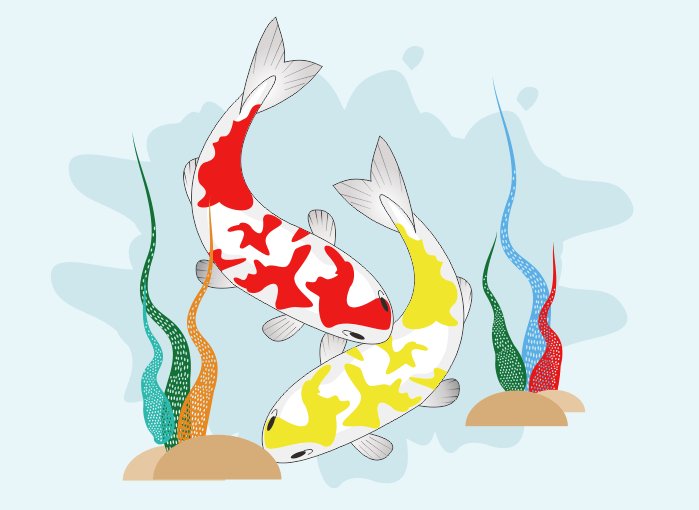 Detail Gambar Mewarnai Ikan Koi Nomer 4