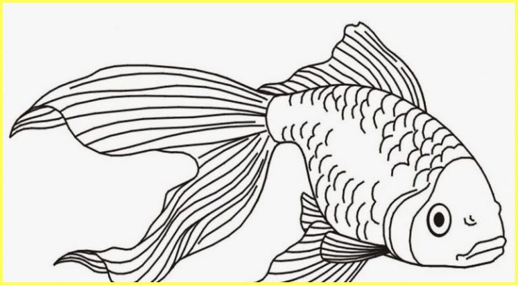 Detail Gambar Mewarnai Ikan Koi Nomer 56