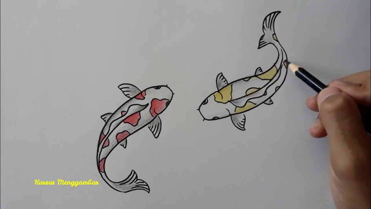 Detail Gambar Mewarnai Ikan Koi Nomer 8