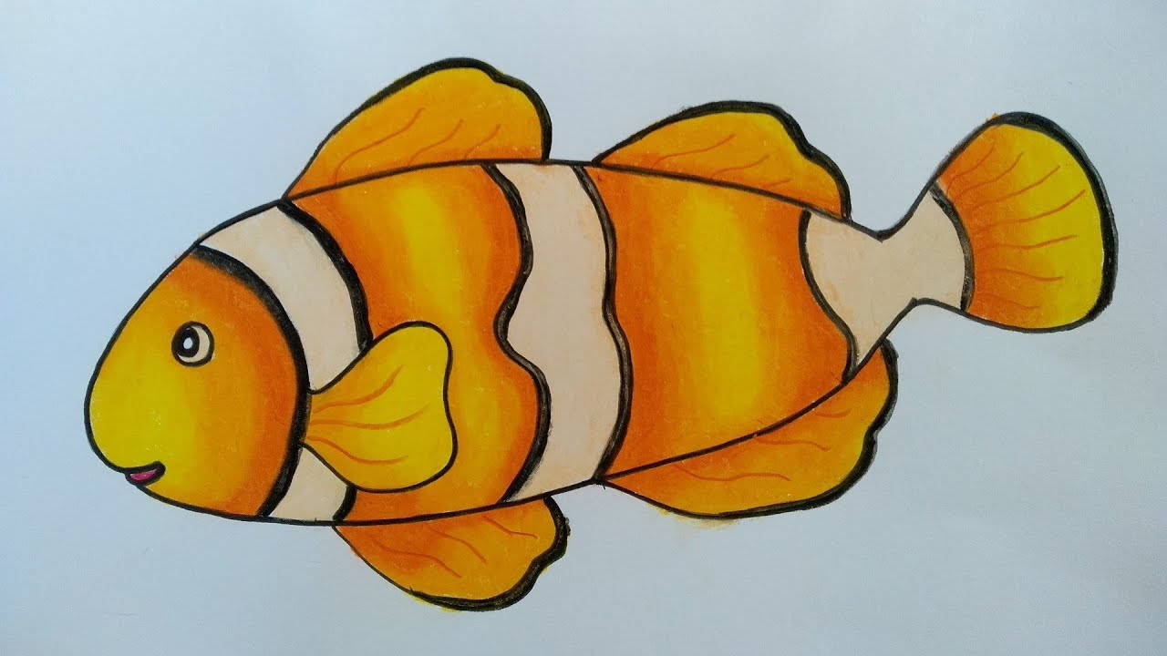 Detail Gambar Mewarnai Ikan Nemo Nomer 3